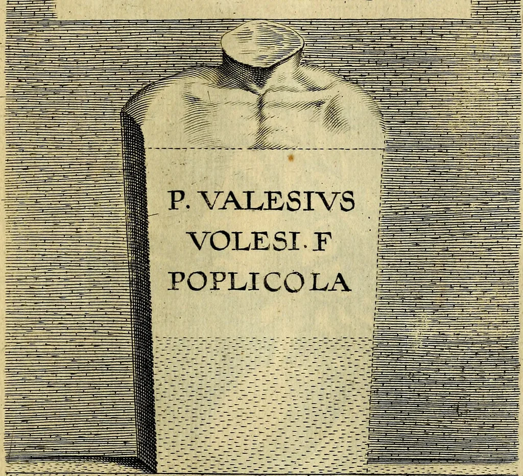 An illustration from Ioannis Fabri Bambergensis ... In imagines illvstrivm ex Fvlvii Vrsini Bibliotheca, 1606, leaf 404