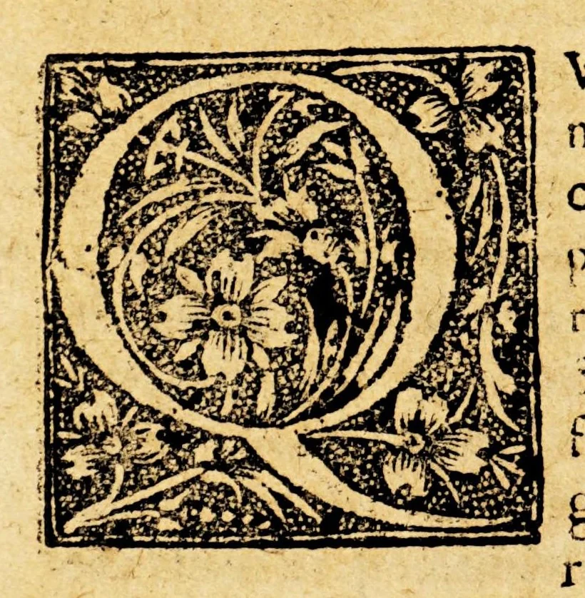 An illustration from Ioannis Genesii Sepuluedæ Cordubensis sacrosantæ theologiæ doctoris, Caroli V. imperatoris, historici. Opera, quæ reperiri potuerunt omnia. : Quorum elenchum vide lector pagina quinta. Nunc primum singulari studio in Hispania, Italia, & Gallia ad publicam vtilitatem edita. Adiectus est copiosus rerum memorabilium index, 1602, leaf 556