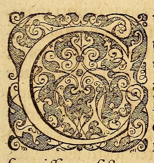 An illustration from Ioannis Keppleri Harmonices mundi libri V ... : Appendix habet comparationem huius operis cum Harmonices Cl. Ptolemaei libro III, cumque Roberti de Fluctibus, dicti Flud. medici oxoniensis speculationibus Harmonicis, operi de Macrocosmo & microcosmo insertis. Accessit nunc propter cognationem materiae eiusdem authoris liber ante 23. annos editus Tubingae, cui titulus Prodromus, seu Mysterium cosmographicum, de causis coelorum numeri, proportionis motuumque periodicorum, ex quinque corporibus regularibus .., 1619, leaf 13