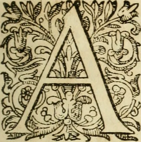 An illustration from Ioannis Mariae Vermiglioli de Vermigliolis ... Consilia criminalia ad defensam in Romana Cvria edita, 1651, leaf 6