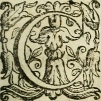 An illustration from Ioannis Mariae Vermiglioli de Vermigliolis ... Consilia criminalia ad defensam in Romana Cvria edita, 1651, leaf 8