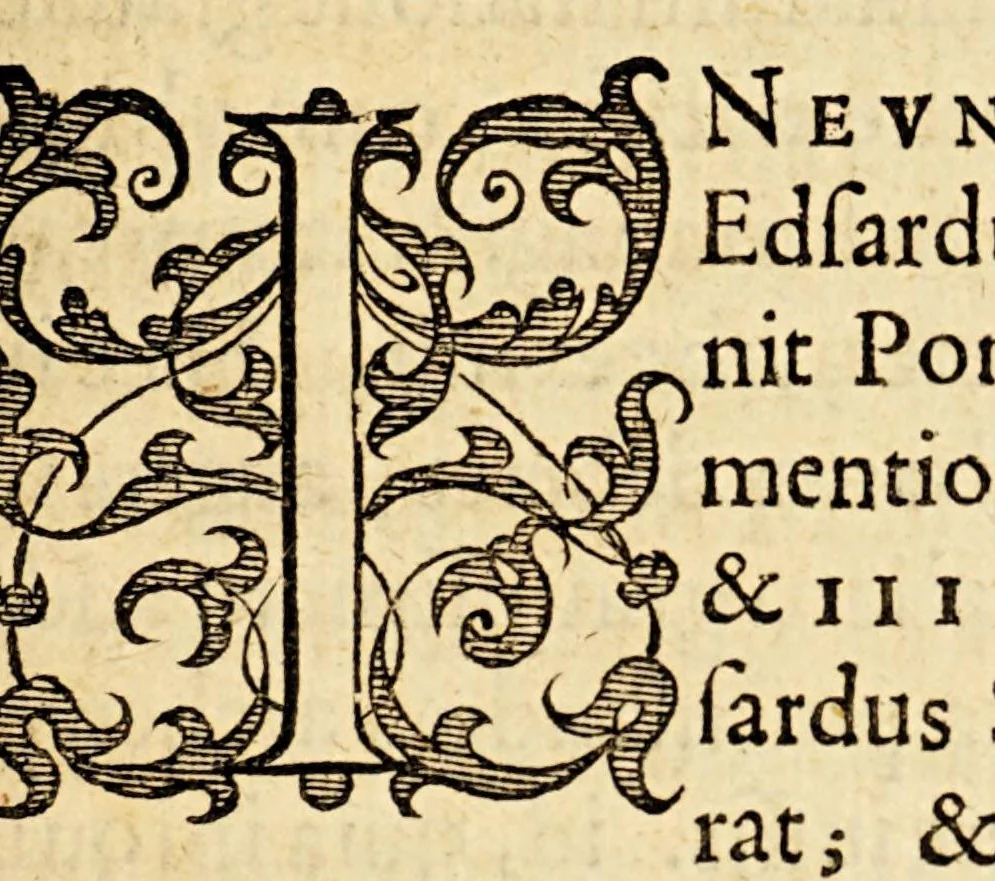 An illustration from Ioannis MeursI Rerum Belgicarum libri quatuor. : In quibus Ferdinandi Albani Sexennium, belli Belgici principium. Additur quintus, seorsim anteà excusus, in quo induciarum historia ; et eiusdem belli finis, 1614, leaf 123