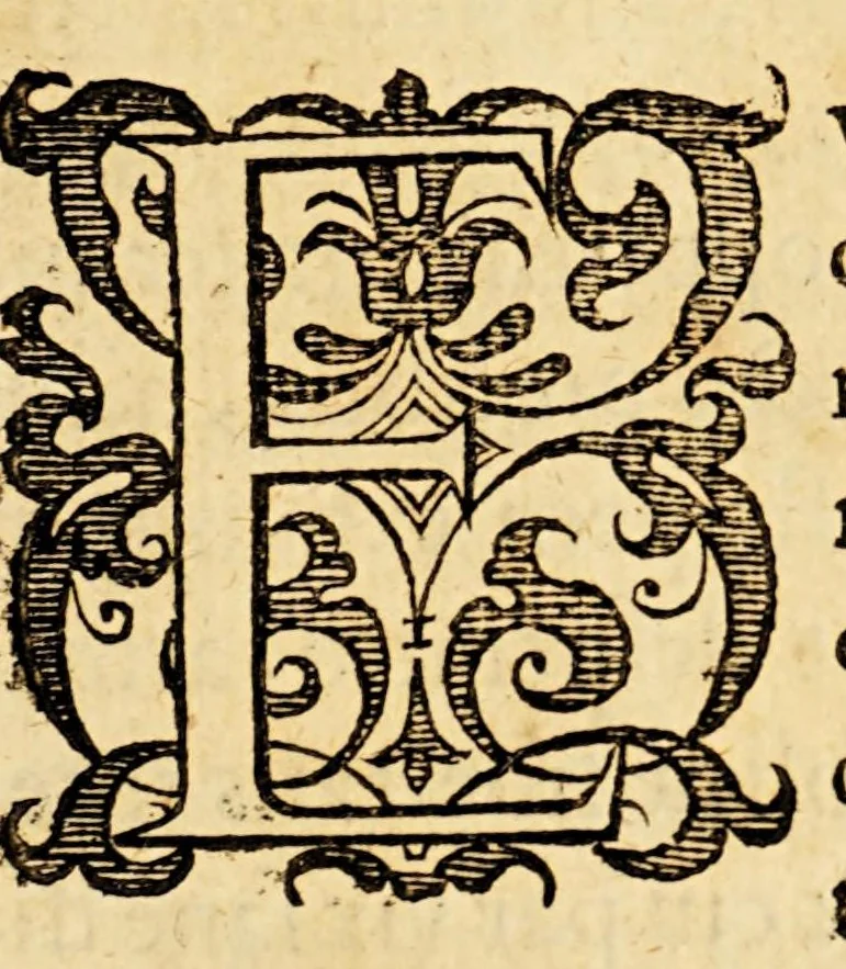 An illustration from Ioannis MeursI Rerum Belgicarum libri quatuor. : In quibus Ferdinandi Albani Sexennium, belli Belgici principium. Additur quintus, seorsim anteà excusus, in quo induciarum historia ; et eiusdem belli finis, 1614, leaf 13