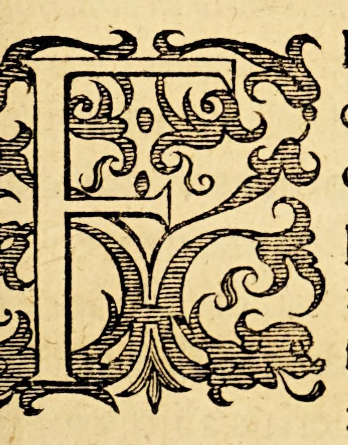 An illustration from Ioannis MeursI Rerum Belgicarum libri quatuor. : In quibus Ferdinandi Albani Sexennium, belli Belgici principium. Additur quintus, seorsim anteà excusus, in quo induciarum historia ; et eiusdem belli finis, 1614, leaf 209