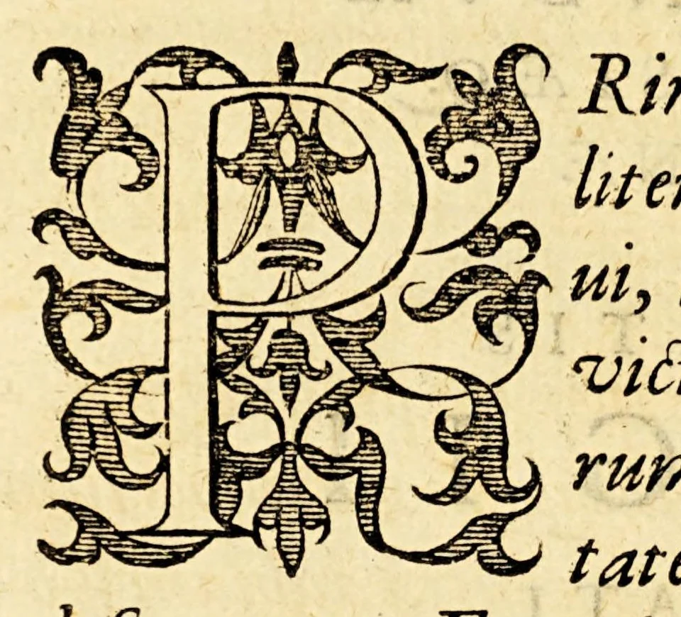 An illustration from Ioannis MeursI Rerum Belgicarum libri quatuor. : In quibus Ferdinandi Albani Sexennium, belli Belgici principium. Additur quintus, seorsim anteà excusus, in quo induciarum historia ; et eiusdem belli finis, 1614, leaf 8
