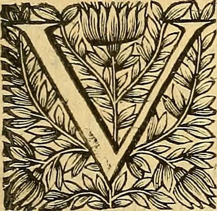 An illustration from Ioannis Pecqueti ... Experimenta nova anatomica : quibus incognitum hactenus chyli receptaculum, & ab eo per thoracem in ramos usque subclavios vasa lactea deteguntur : issertatio anatomica de circulatione sanguinis et chyli motu, 1654, leaf 160