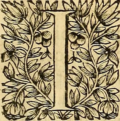 An illustration from Ioannis Pecqueti ... Experimenta nova anatomica : quibus incognitum hactenus chyli receptaculum, & ab eo per thoracem in ramos usque subclavios vasa lactea deteguntur : issertatio anatomica de circulatione sanguinis et chyli motu, 1654, leaf 200