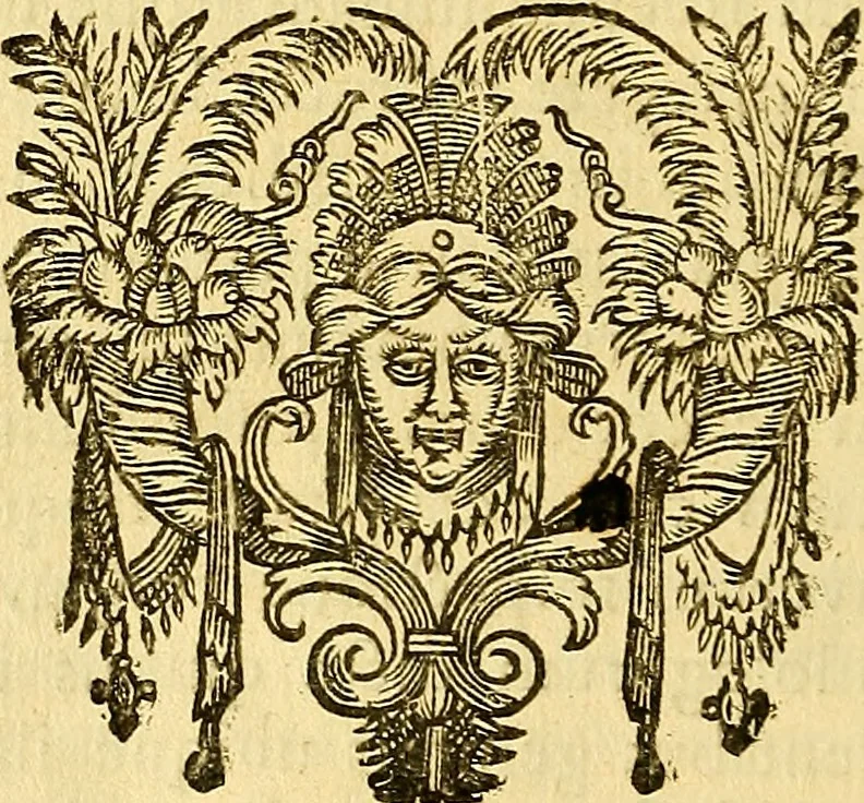 An illustration from Ioannis Pecqueti ... Experimenta nova anatomica : quibus incognitum hactenus chyli receptaculum, & ab eo per thoracem in ramos usque subclavios vasa lactea deteguntur : issertatio anatomica de circulatione sanguinis et chyli motu, 1654, leaf 265