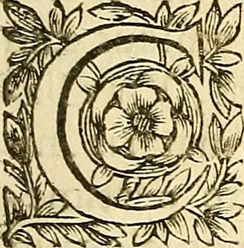 An illustration from Ioannis Pecqueti ... Experimenta nova anatomica : quibus incognitum hactenus chyli receptaculum, & ab eo per thoracem in ramos usque subclavios vasa lactea deteguntur : issertatio anatomica de circulatione sanguinis et chyli motu, 1654, leaf 266