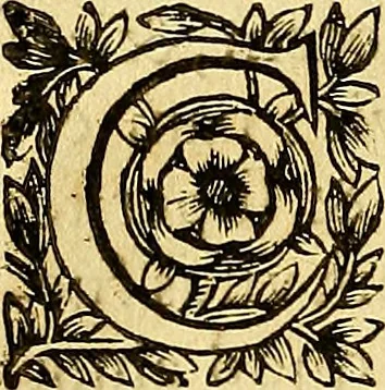 An illustration from Ioannis Pecqueti ... Experimenta nova anatomica : quibus incognitum hactenus chyli receptaculum, & ab eo per thoracem in ramos usque subclavios vasa lactea deteguntur : issertatio anatomica de circulatione sanguinis et chyli motu, 1654, leaf 31