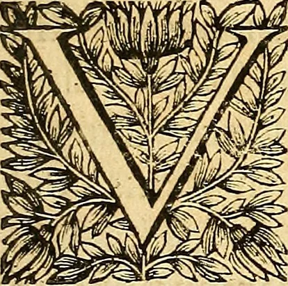 An illustration from Ioannis Pecqueti ... Experimenta nova anatomica : quibus incognitum hactenus chyli receptaculum, & ab eo per thoracem in ramos usque subclavios vasa lactea deteguntur : issertatio anatomica de circulatione sanguinis et chyli motu, 1654, leaf 46