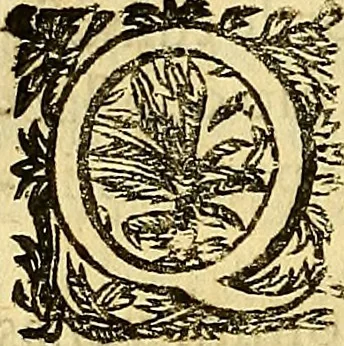 An illustration from Ioannis Pecqueti ... Experimenta nova anatomica : quibus incognitum hactenus chyli receptaculum, & ab eo per thoracem in ramos usque subclavios vasa lactea deteguntur : issertatio anatomica de circulatione sanguinis et chyli motu, 1654, leaf 55