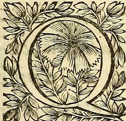 An illustration from Ioannis Pecqueti ... Experimenta nova anatomica : quibus incognitum hactenus chyli receptaculum, & ab eo per thoracem in ramos usque subclavios vasa lactea deteguntur : issertatio anatomica de circulatione sanguinis et chyli motu, 1654, leaf 6