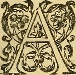 An illustration from Ioannis Pecqueti ... Experimenta nova anatomica : quibus incognitum hactenus chyli receptaculum, & ab eo per thoracem in ramos usque subclavios vasa lactea deteguntur : issertatio anatomica de circulatione sanguinis et chyli motu, 1654, leaf 68