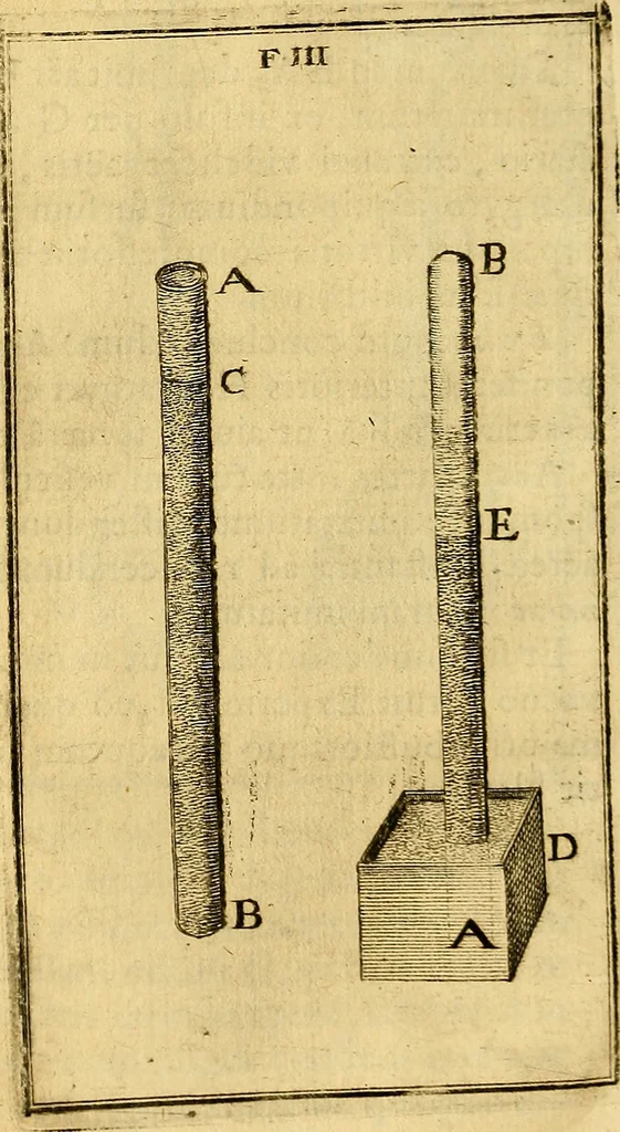 An illustration from Ioannis Pecqueti ... Experimenta nova anatomica : quibus incognitum hactenus chyli receptaculum, & ab eo per thoracem in ramos usque subclavios vasa lactea deteguntur : issertatio anatomica de circulatione sanguinis et chyli motu, 1654, leaf 79