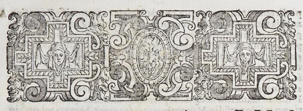 An illustration from Ioannis Petri Maffeii Bergomatis e Societate Iesu Historiarum Indicarum libri XVI, 1590, leaf 125