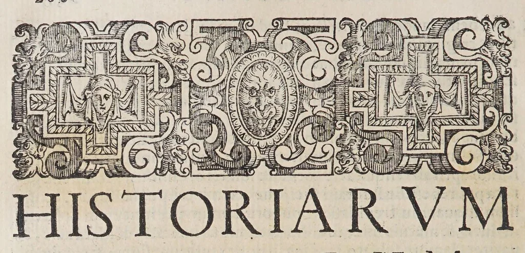 An illustration from Ioannis Petri Maffeii Bergomatis e Societate Iesu Historiarum Indicarum libri XVI, 1590, leaf 304