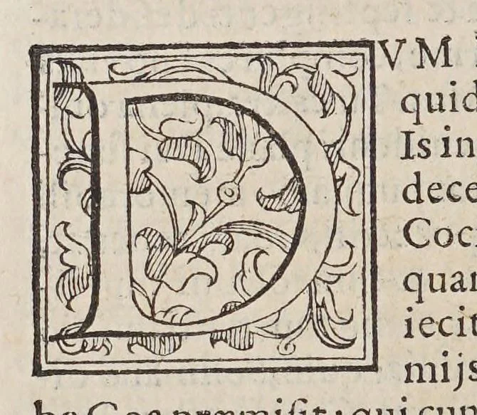 An illustration from Ioannis Petri Maffeii Bergomatis e Societate Iesu Historiarum Indicarum libri XVI, 1590, leaf 304