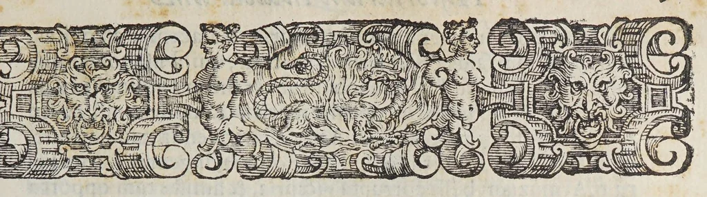 An illustration from Io[annis] Petri Maffeii Bergomatis e Societate Iesu Historiarum Indicarum libri XVI. : Selectarum item ex India epistolarum eodem interprete libri IIII. Accessit Ignatij Loiolae vita postremo recognita. Et in opera singula copiosus index, 1589, leaf 209