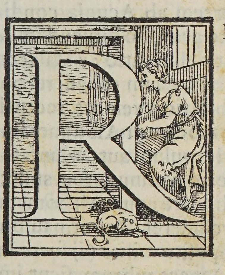 An illustration from Io[annis] Petri Maffeii Bergomatis e Societate Iesu Historiarum Indicarum libri XVI. : Selectarum item ex India epistolarum eodem interprete libri IIII. Accessit Ignatij Loiolae vita postremo recognita. Et in opera singula copiosus index, 1589, leaf 209