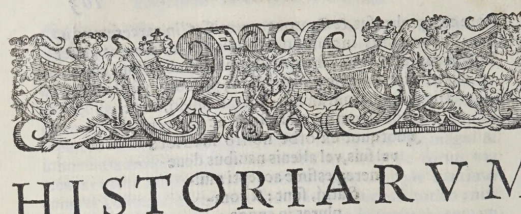 An illustration from Io[annis] Petri Maffeii Bergomatis e Societate Iesu Historiarum Indicarum libri XVI. : Selectarum item ex India epistolarum eodem interprete libri IIII. Accessit Ignatij Loiolae vita postremo recognita. Et in opera singula copiosus index, 1589, leaf 266