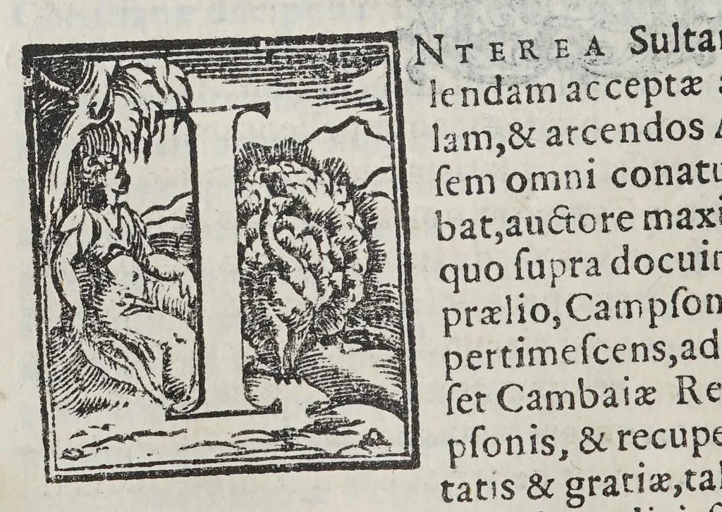 An illustration from Io[annis] Petri Maffeii Bergomatis e Societate Iesu Historiarum Indicarum libri XVI. : Selectarum item ex India epistolarum eodem interprete libri IIII. Accessit Ignatij Loiolae vita postremo recognita. Et in opera singula copiosus index, 1589, leaf 266