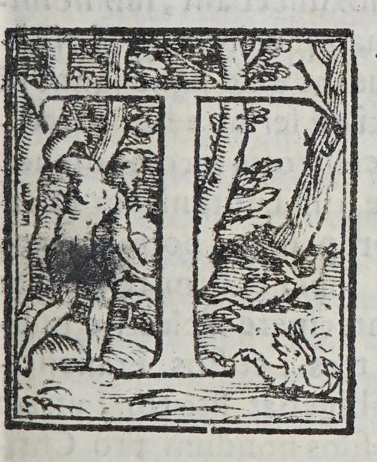 An illustration from Io[annis] Petri Maffeii Bergomatis e Societate Iesu Historiarum Indicarum libri XVI. : Selectarum item ex India epistolarum eodem interprete libri IIII. Accessit Ignatij Loiolae vita postremo recognita. Et in opera singula copiosus index, 1589, leaf 557