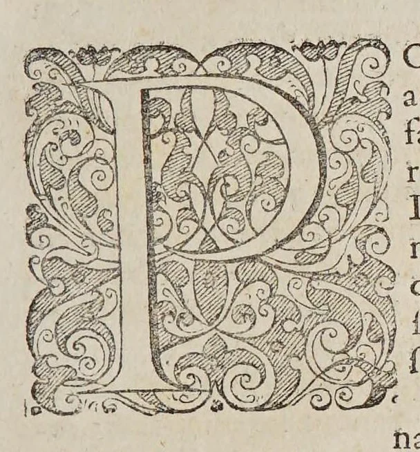 An illustration from Ioan[nis] Petri Maffeii, Bergomatis, e Societate Iesu, Historiarum Indicarum libri XVI. : Selectarum, item, ex Jndia epistolarum, eodem interprete, libri IV. Accessit Ignatii Loiolae vita., 1593, leaf 353