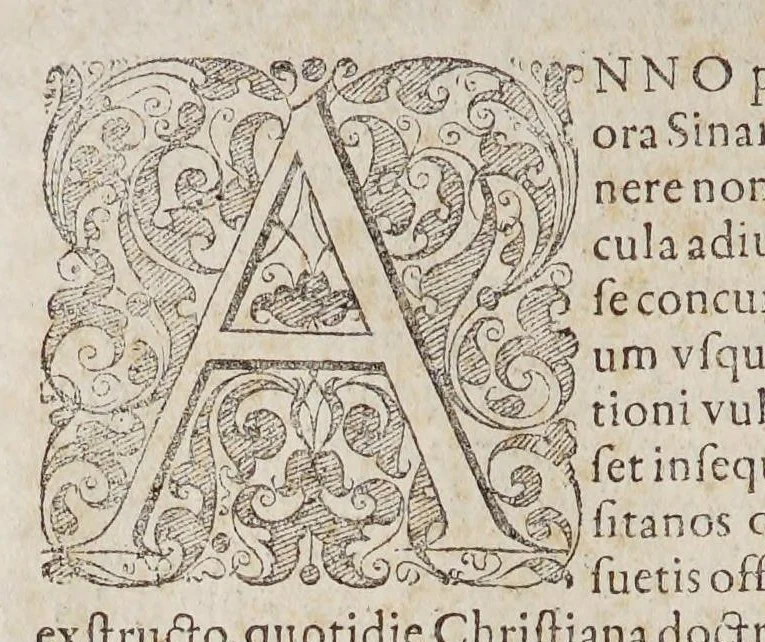 An illustration from Ioan[nis] Petri Maffeii, Bergomatis, e Societate Iesu, Historiarum Indicarum libri XVI. : Selectarum, item, ex Jndia epistolarum, eodem interprete, libri IV. Accessit Ignatii Loiolae vita., 1593, leaf 366