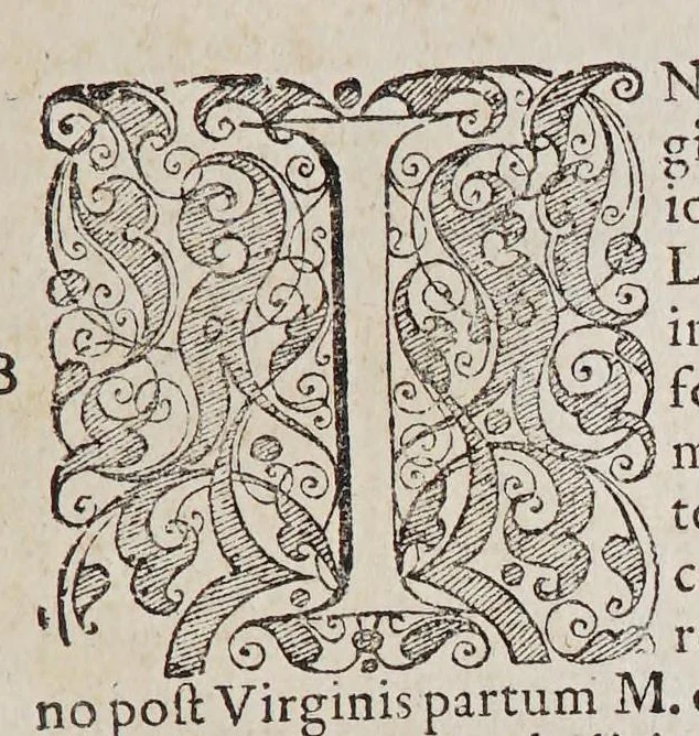 An illustration from Ioan[nis] Petri Maffeii, Bergomatis, e Societate Iesu, Historiarum Indicarum libri XVI. : Selectarum, item, ex Jndia epistolarum, eodem interprete, libri IV. Accessit Ignatii Loiolae vita., 1593, leaf 467
