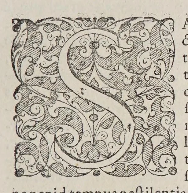 An illustration from Ioan[nis] Petri Maffeii, Bergomatis, e Societate Iesu, Historiarum Indicarum libri XVI. : Selectarum, item, ex Jndia epistolarum, eodem interprete, libri IV. Accessit Ignatii Loiolae vita., 1593, leaf 473