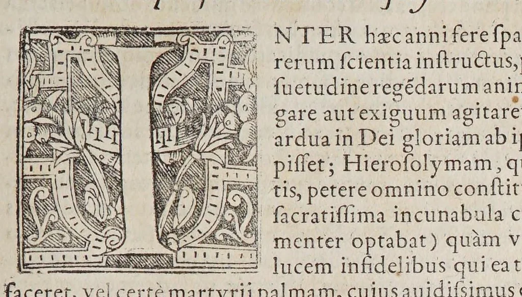 An illustration from Ioan[nis] Petri Maffeii, Bergomatis, e Societate Iesu, Historiarum Indicarum libri XVI. : Selectarum, item, ex Jndia epistolarum, eodem interprete, libri IV. Accessit Ignatii Loiolae vita., 1593, leaf 479