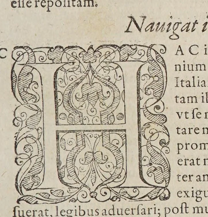 An illustration from Ioan[nis] Petri Maffeii, Bergomatis, e Societate Iesu, Historiarum Indicarum libri XVI. : Selectarum, item, ex Jndia epistolarum, eodem interprete, libri IV. Accessit Ignatii Loiolae vita., 1593, leaf 479
