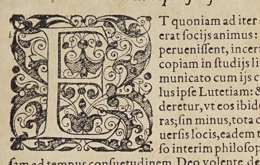 An illustration from Ioan[nis] Petri Maffeii, Bergomatis, e Societate Iesu, Historiarum Indicarum libri XVI. : Selectarum, item, ex Jndia epistolarum, eodem interprete, libri IV. Accessit Ignatii Loiolae vita., 1593, leaf 491