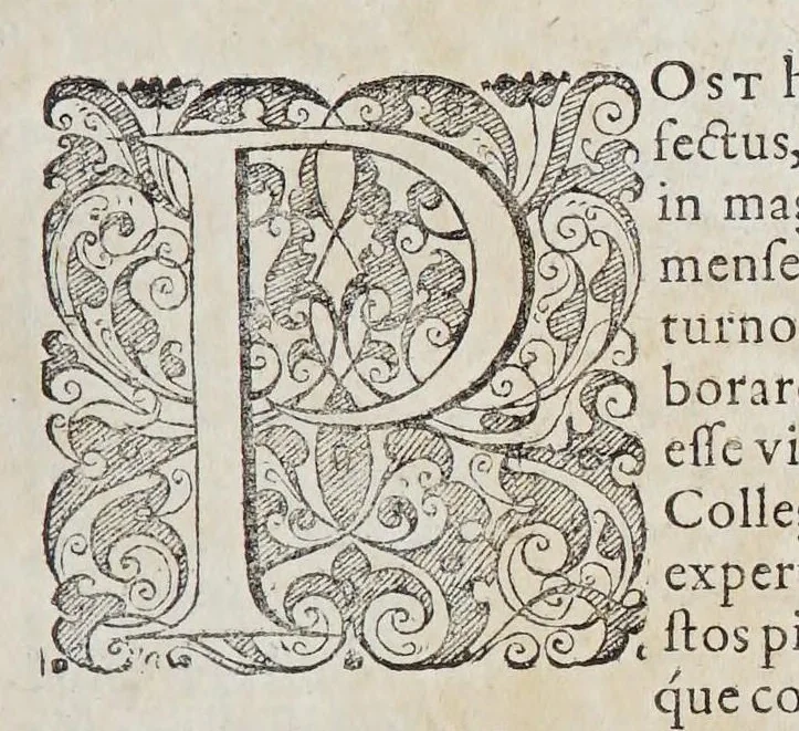 An illustration from Ioan[nis] Petri Maffeii, Bergomatis, e Societate Iesu, Historiarum Indicarum libri XVI. : Selectarum, item, ex Jndia epistolarum, eodem interprete, libri IV. Accessit Ignatii Loiolae vita., 1593, leaf 523