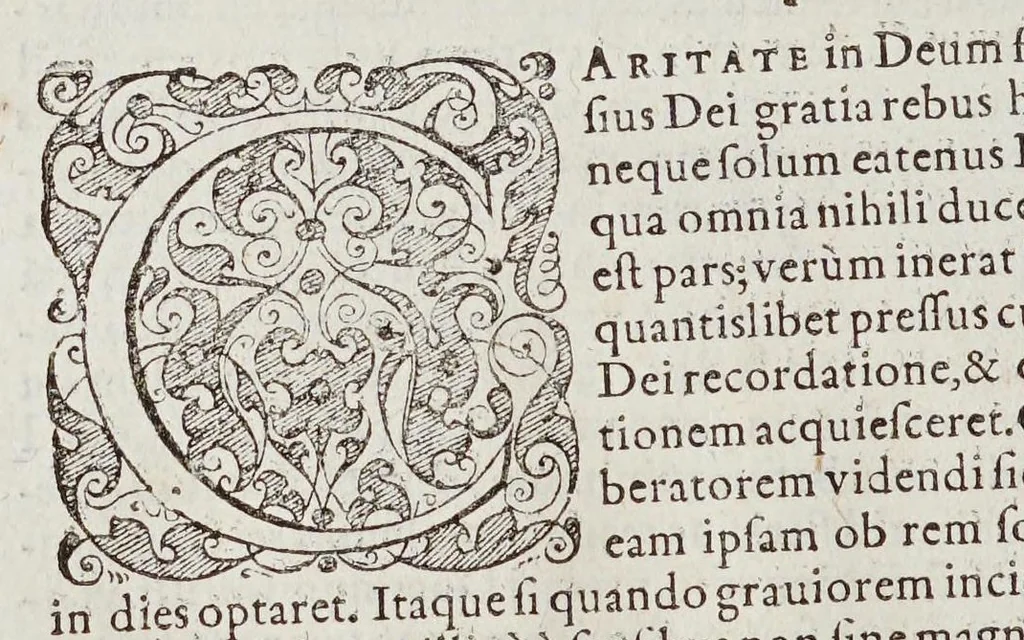 An illustration from Ioan[nis] Petri Maffeii, Bergomatis, e Societate Iesu, Historiarum Indicarum libri XVI. : Selectarum, item, ex Jndia epistolarum, eodem interprete, libri IV. Accessit Ignatii Loiolae vita., 1593, leaf 530