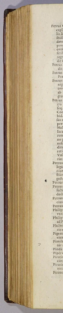 An illustration from Ioan[nis] Petri Maffeii, Bergomatis, e Societate Iesu, Historiarum Indicarum libri XVI. : Selectarum, item, ex Jndia epistolarum, eodem interprete, libri IV. Accessit Ignatii Loiolae vita., 1593, leaf 576