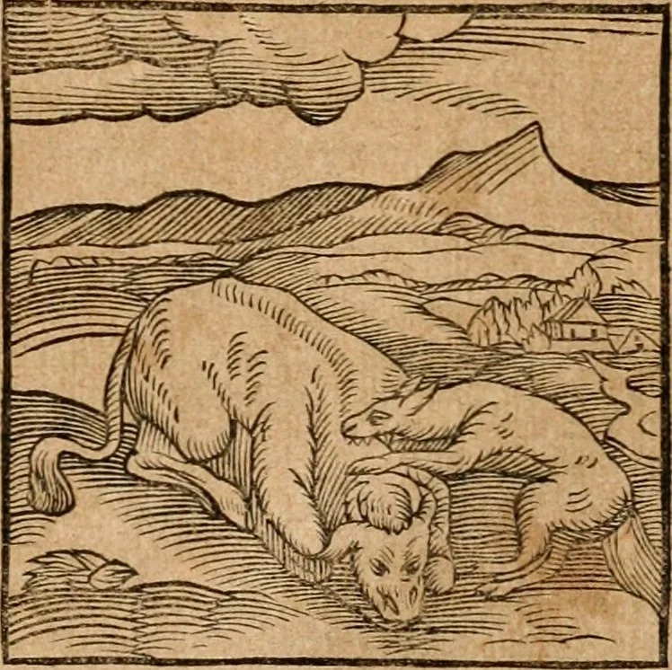 An illustration from Ioannis Pierii Valeriani Bellvnensis Hieroglyphica, sive, De sacris Ægyptiorvm aliarumq gentium literis commentariorum libri LVIII : cum duobus alijs ab eruditissimo viro annexis : accesserunt loco auctarij, Hieroglyphicorum collectanea, ex veteribus & recentioribus auctoribus descripta, & in sex libros digesta : Horapollinis item hieroglyphicorum libri duo, ex postrema Dauidis Hschelij correctione : prætereà eiusdem Pierij declamatiuncula pro barbis sacerdotum, & reliqua opuscula siue poemata omnia, 1614, leaf 100