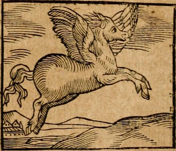 An illustration from Ioannis Pierii Valeriani Bellvnensis Hieroglyphica, sive, De sacris Ægyptiorvm aliarumq gentium literis commentariorum libri LVIII : cum duobus alijs ab eruditissimo viro annexis : accesserunt loco auctarij, Hieroglyphicorum collectanea, ex veteribus & recentioribus auctoribus descripta, & in sex libros digesta : Horapollinis item hieroglyphicorum libri duo, ex postrema Dauidis Hschelij correctione : prætereà eiusdem Pierij declamatiuncula pro barbis sacerdotum, & reliqua opuscula siue poemata omnia, 1614, leaf 109