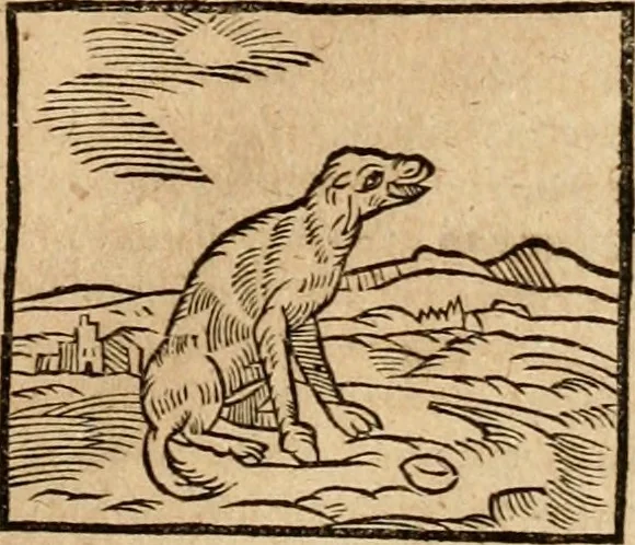 An illustration from Ioannis Pierii Valeriani Bellvnensis Hieroglyphica, sive, De sacris Ægyptiorvm aliarumq gentium literis commentariorum libri LVIII : cum duobus alijs ab eruditissimo viro annexis : accesserunt loco auctarij, Hieroglyphicorum collectanea, ex veteribus & recentioribus auctoribus descripta, & in sex libros digesta : Horapollinis item hieroglyphicorum libri duo, ex postrema Dauidis Hschelij correctione : prætereà eiusdem Pierij declamatiuncula pro barbis sacerdotum, & reliqua opuscula siue poemata omnia, 1614, leaf 120