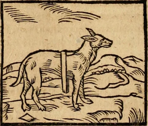 An illustration from Ioannis Pierii Valeriani Bellvnensis Hieroglyphica, sive, De sacris Ægyptiorvm aliarumq gentium literis commentariorum libri LVIII : cum duobus alijs ab eruditissimo viro annexis : accesserunt loco auctarij, Hieroglyphicorum collectanea, ex veteribus & recentioribus auctoribus descripta, & in sex libros digesta : Horapollinis item hieroglyphicorum libri duo, ex postrema Dauidis Hschelij correctione : prætereà eiusdem Pierij declamatiuncula pro barbis sacerdotum, & reliqua opuscula siue poemata omnia, 1614, leaf 125