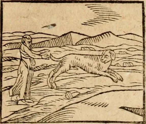 An illustration from Ioannis Pierii Valeriani Bellvnensis Hieroglyphica, sive, De sacris Ægyptiorvm aliarumq gentium literis commentariorum libri LVIII : cum duobus alijs ab eruditissimo viro annexis : accesserunt loco auctarij, Hieroglyphicorum collectanea, ex veteribus & recentioribus auctoribus descripta, & in sex libros digesta : Horapollinis item hieroglyphicorum libri duo, ex postrema Dauidis Hschelij correctione : prætereà eiusdem Pierij declamatiuncula pro barbis sacerdotum, & reliqua opuscula siue poemata omnia, 1614, leaf 126