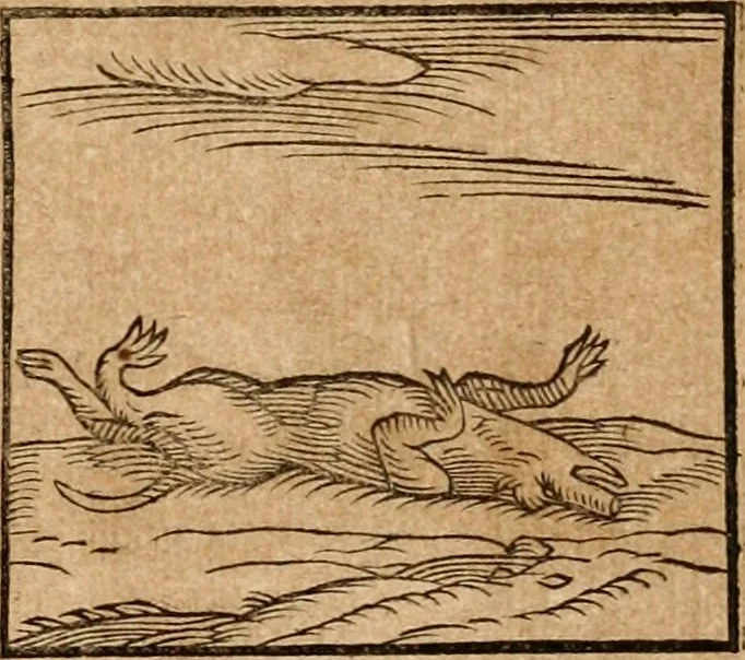 An illustration from Ioannis Pierii Valeriani Bellvnensis Hieroglyphica, sive, De sacris Ægyptiorvm aliarumq gentium literis commentariorum libri LVIII : cum duobus alijs ab eruditissimo viro annexis : accesserunt loco auctarij, Hieroglyphicorum collectanea, ex veteribus & recentioribus auctoribus descripta, & in sex libros digesta : Horapollinis item hieroglyphicorum libri duo, ex postrema Dauidis Hschelij correctione : prætereà eiusdem Pierij declamatiuncula pro barbis sacerdotum, & reliqua opuscula siue poemata omnia, 1614, leaf 132