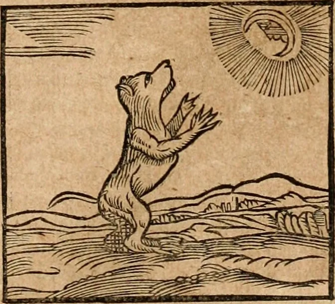 An illustration from Ioannis Pierii Valeriani Bellvnensis Hieroglyphica, sive, De sacris Ægyptiorvm aliarumq gentium literis commentariorum libri LVIII : cum duobus alijs ab eruditissimo viro annexis : accesserunt loco auctarij, Hieroglyphicorum collectanea, ex veteribus & recentioribus auctoribus descripta, & in sex libros digesta : Horapollinis item hieroglyphicorum libri duo, ex postrema Dauidis Hschelij correctione : prætereà eiusdem Pierij declamatiuncula pro barbis sacerdotum, & reliqua opuscula siue poemata omnia, 1614, leaf 132