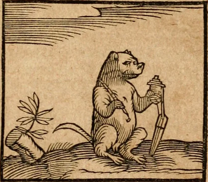 An illustration from Ioannis Pierii Valeriani Bellvnensis Hieroglyphica, sive, De sacris Ægyptiorvm aliarumq gentium literis commentariorum libri LVIII : cum duobus alijs ab eruditissimo viro annexis : accesserunt loco auctarij, Hieroglyphicorum collectanea, ex veteribus & recentioribus auctoribus descripta, & in sex libros digesta : Horapollinis item hieroglyphicorum libri duo, ex postrema Dauidis Hschelij correctione : prætereà eiusdem Pierij declamatiuncula pro barbis sacerdotum, & reliqua opuscula siue poemata omnia, 1614, leaf 134