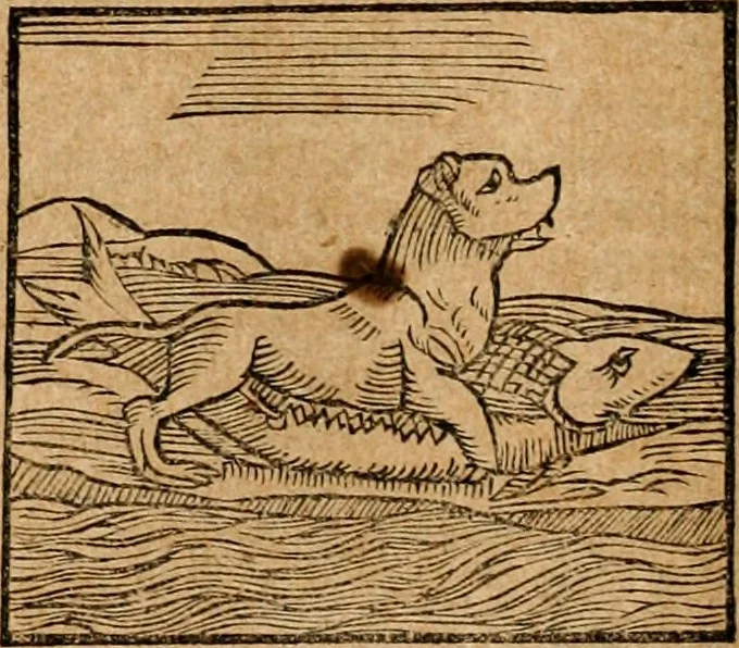 An illustration from Ioannis Pierii Valeriani Bellvnensis Hieroglyphica, sive, De sacris Ægyptiorvm aliarumq gentium literis commentariorum libri LVIII : cum duobus alijs ab eruditissimo viro annexis : accesserunt loco auctarij, Hieroglyphicorum collectanea, ex veteribus & recentioribus auctoribus descripta, & in sex libros digesta : Horapollinis item hieroglyphicorum libri duo, ex postrema Dauidis Hschelij correctione : prætereà eiusdem Pierij declamatiuncula pro barbis sacerdotum, & reliqua opuscula siue poemata omnia, 1614, leaf 135