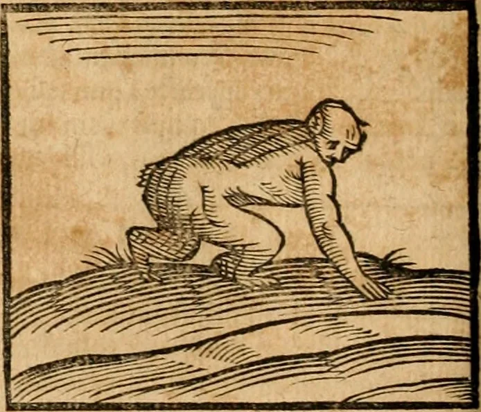 An illustration from Ioannis Pierii Valeriani Bellvnensis Hieroglyphica, sive, De sacris Ægyptiorvm aliarumq gentium literis commentariorum libri LVIII : cum duobus alijs ab eruditissimo viro annexis : accesserunt loco auctarij, Hieroglyphicorum collectanea, ex veteribus & recentioribus auctoribus descripta, & in sex libros digesta : Horapollinis item hieroglyphicorum libri duo, ex postrema Dauidis Hschelij correctione : prætereà eiusdem Pierij declamatiuncula pro barbis sacerdotum, & reliqua opuscula siue poemata omnia, 1614, leaf 139