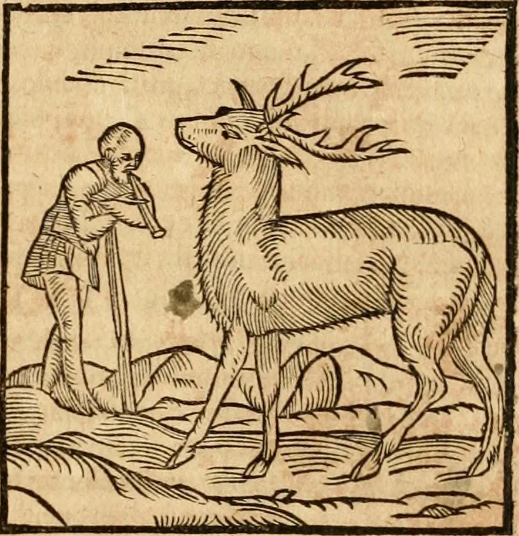 An illustration from Ioannis Pierii Valeriani Bellvnensis Hieroglyphica, sive, De sacris Ægyptiorvm aliarumq gentium literis commentariorum libri LVIII : cum duobus alijs ab eruditissimo viro annexis : accesserunt loco auctarij, Hieroglyphicorum collectanea, ex veteribus & recentioribus auctoribus descripta, & in sex libros digesta : Horapollinis item hieroglyphicorum libri duo, ex postrema Dauidis Hschelij correctione : prætereà eiusdem Pierij declamatiuncula pro barbis sacerdotum, & reliqua opuscula siue poemata omnia, 1614, leaf 142