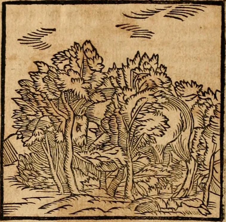 An illustration from Ioannis Pierii Valeriani Bellvnensis Hieroglyphica, sive, De sacris Ægyptiorvm aliarumq gentium literis commentariorum libri LVIII : cum duobus alijs ab eruditissimo viro annexis : accesserunt loco auctarij, Hieroglyphicorum collectanea, ex veteribus & recentioribus auctoribus descripta, & in sex libros digesta : Horapollinis item hieroglyphicorum libri duo, ex postrema Dauidis Hschelij correctione : prætereà eiusdem Pierij declamatiuncula pro barbis sacerdotum, & reliqua opuscula siue poemata omnia, 1614, leaf 147
