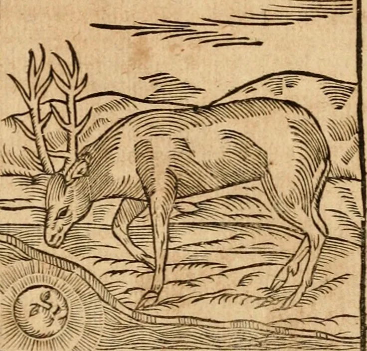 An illustration from Ioannis Pierii Valeriani Bellvnensis Hieroglyphica, sive, De sacris Ægyptiorvm aliarumq gentium literis commentariorum libri LVIII : cum duobus alijs ab eruditissimo viro annexis : accesserunt loco auctarij, Hieroglyphicorum collectanea, ex veteribus & recentioribus auctoribus descripta, & in sex libros digesta : Horapollinis item hieroglyphicorum libri duo, ex postrema Dauidis Hschelij correctione : prætereà eiusdem Pierij declamatiuncula pro barbis sacerdotum, & reliqua opuscula siue poemata omnia, 1614, leaf 148